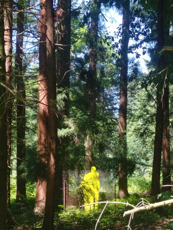20220622_135530_HDR